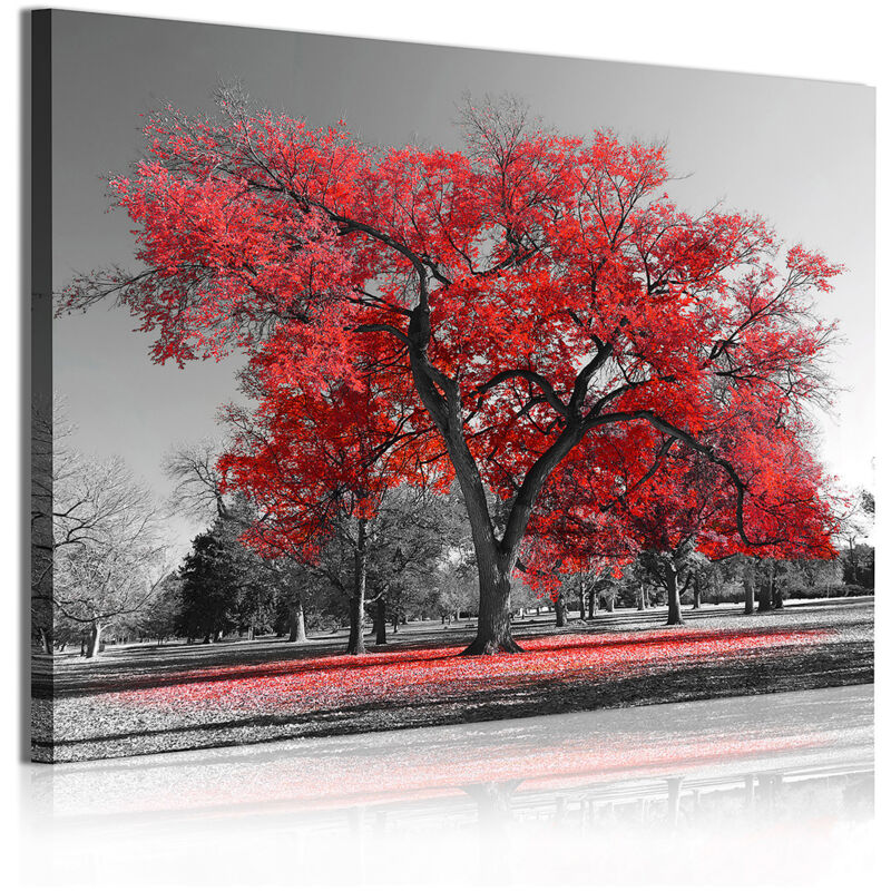 324 - Cuadros Modernos Impresión de Imagen Artística Digitalizada | Paisaje Árboles Rojos Naturaleza | 1 Pieza 120x80cm - Dekoarte
324 - Cuadros Modernos Impresión de Imagen Artística Digitalizada | Paisaje Árboles Rojos Naturaleza | 1 Pieza 120x80cm - Dekoarte