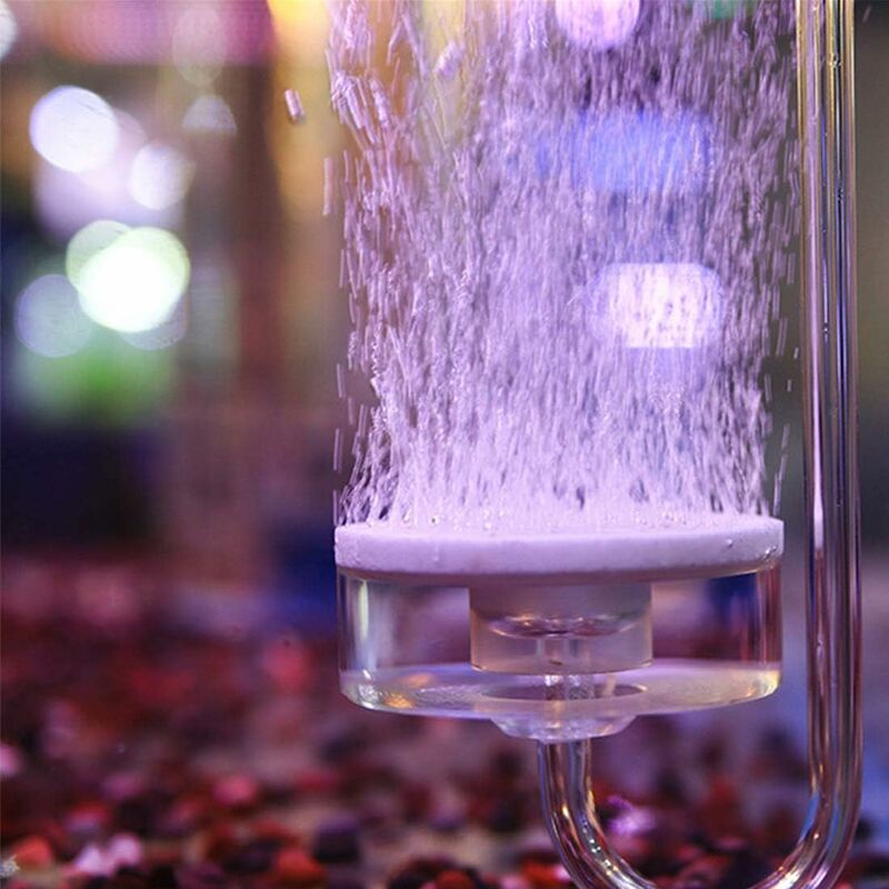 Difusor de piedra de aire para acuario, difusor de burbujas para hidroponía, difusor de atomización de CO2 para plantas de acuario acuático
Difusor de piedra de aire para acuario, difusor de burbujas para hidroponía, difusor de atomización de CO2 para plantas de acuario acuático