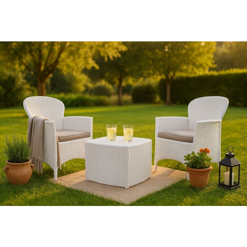 Juego de jardín con cojines, 2 sillones y 1 mesa contenedor exterior, Made in Italy, color blanco - Dmora
Juego de jardín con cojines, 2 sillones y 1 mesa contenedor exterior, Made in Italy, color blanco - Dmora