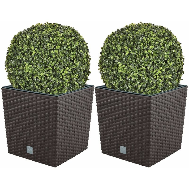 Doble set de Maceta Rato 32 litros con cubilete para plantar en color chocolate 33 x 33 x 33 cm + Bola de boj diámetro 36 cm
Doble set de Maceta Rato 32 litros con cubilete para plantar en color chocolate 33 x 33 x 33 cm + Bola de boj diámetro 36 cm