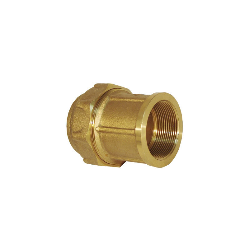 Enlace Latón Mixto para Polietileno 40mm Rosca Hembra 1 1/4' Racores Sistema Riego Unión Tubería - Plantawa
Enlace Latón Mixto para Polietileno 40mm Rosca Hembra 1 1/4' Racores Sistema Riego Unión Tubería - Plantawa