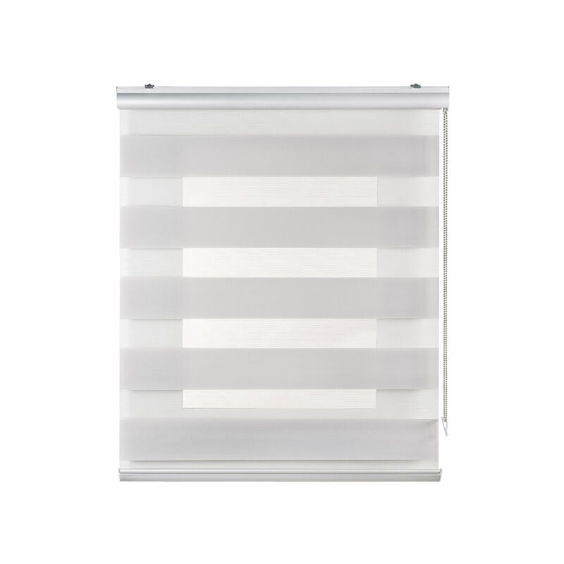 Estor Noche y Día Plus, estor enrollable con acabados de aluminio Premium Gris Claro, 100 x 250cm
Estor Noche y Día Plus, estor enrollable con acabados de aluminio Premium Gris Claro, 100 x 250cm