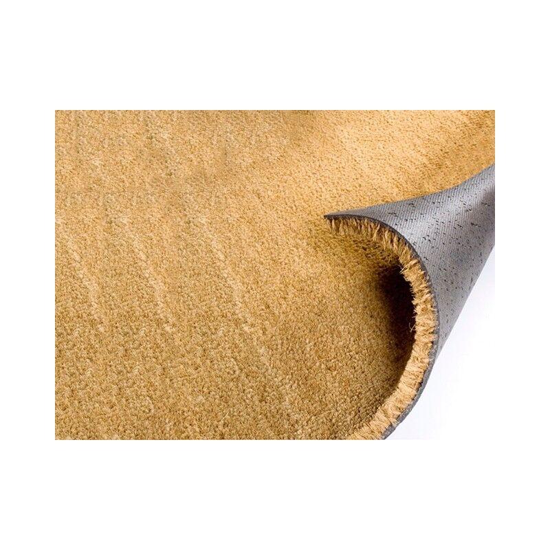 Felpudo Coco Natural Rectangular, Base Antideslizante | Seleccione la medida - 40X50 CM
Felpudo Coco Natural Rectangular, Base Antideslizante | Seleccione la medida - 40X50 CM