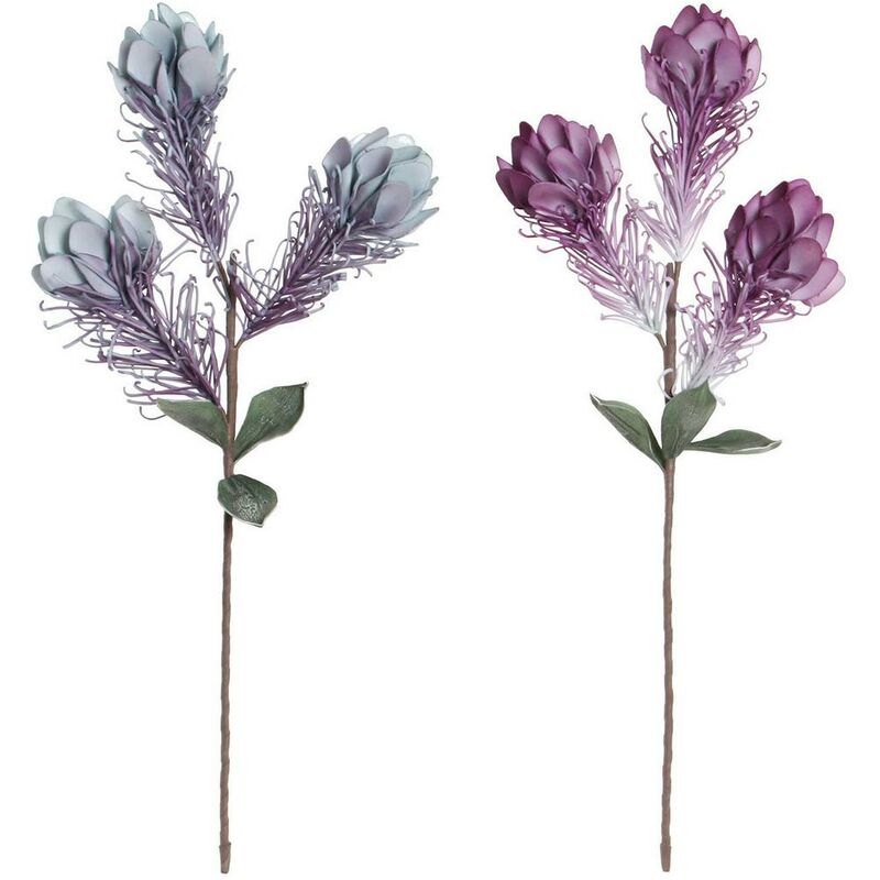 Flores Decorativas DKD Home Decor Azul EVA (Etilvinilacetato) Lila (2 pcs) (20 x 20 x 83 cm)
Flores Decorativas DKD Home Decor Azul EVA (Etilvinilacetato) Lila (2 pcs) (20 x 20 x 83 cm)