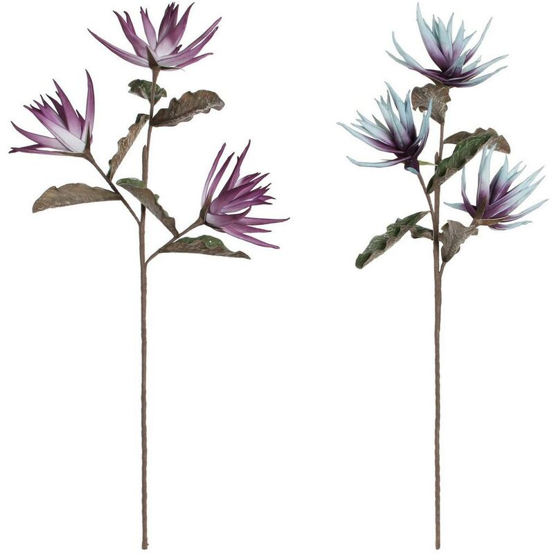 Flores Decorativas DKD Home Decor Azul EVA (Etilvinilacetato) Lila (2 pcs) (25 x 25 x 97 cm)
Flores Decorativas DKD Home Decor Azul EVA (Etilvinilacetato) Lila (2 pcs) (25 x 25 x 97 cm)