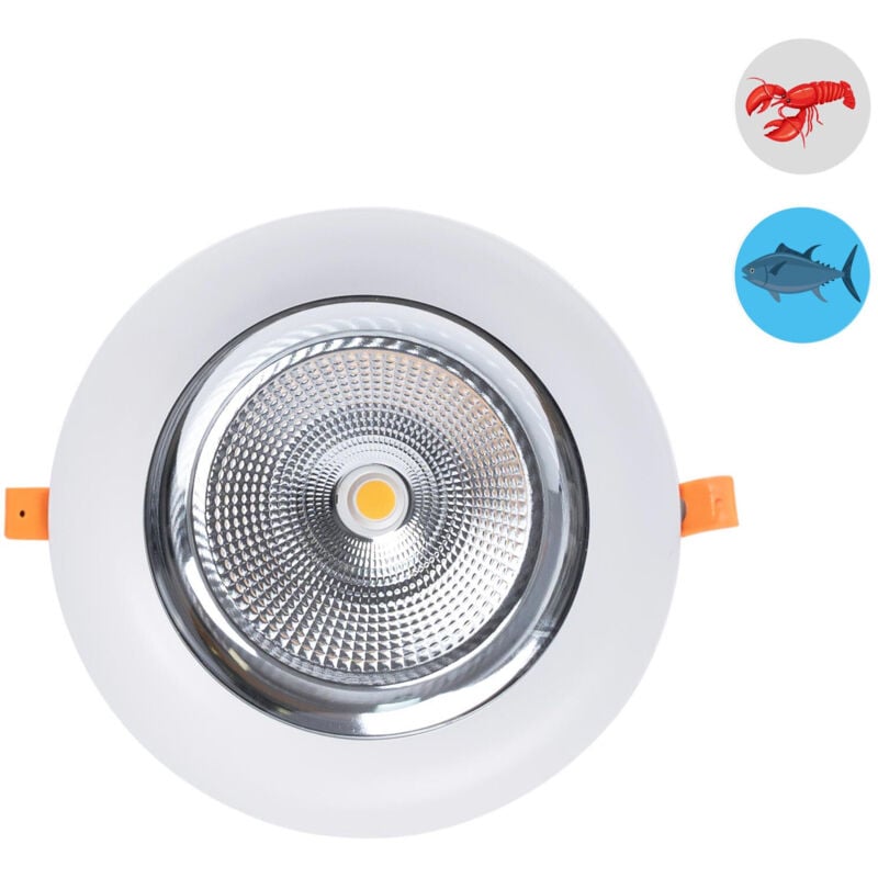 Barcelona Led - Focos empotrables LED 30W Especial para Pescadería corte Ø 210 mm
Barcelona Led - Focos empotrables LED 30W Especial para Pescadería corte Ø 210 mm