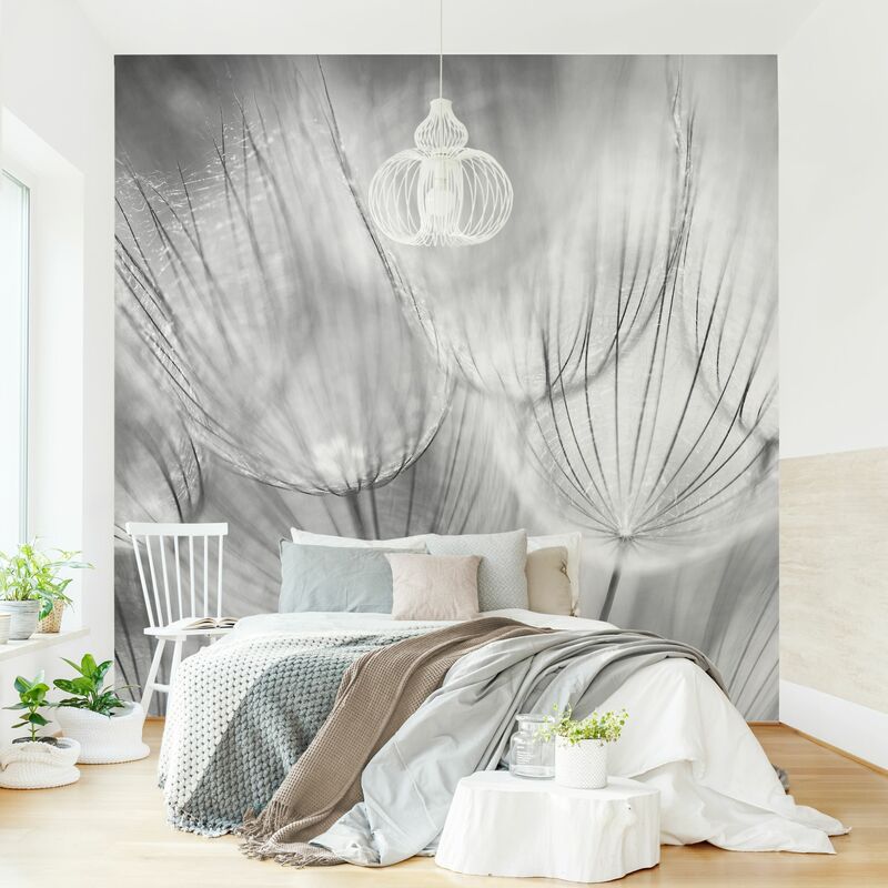 Fotomural - Dandelions Macro Shot In Black And White - Mural cuadrado Dimensión LxA: 288cm x 288cm
Fotomural - Dandelions Macro Shot In Black And White - Mural cuadrado Dimensión LxA: 288cm x 288cm