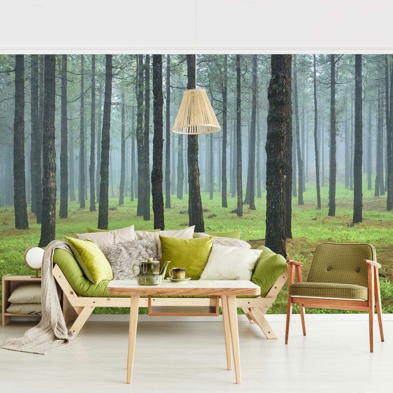 Fotomural - Deep Forest With Pine Trees On La Palma - Mural apaisado Dimensión LxA: 290cm x 432cm
Fotomural - Deep Forest With Pine Trees On La Palma - Mural apaisado Dimensión LxA: 290cm x 432cm