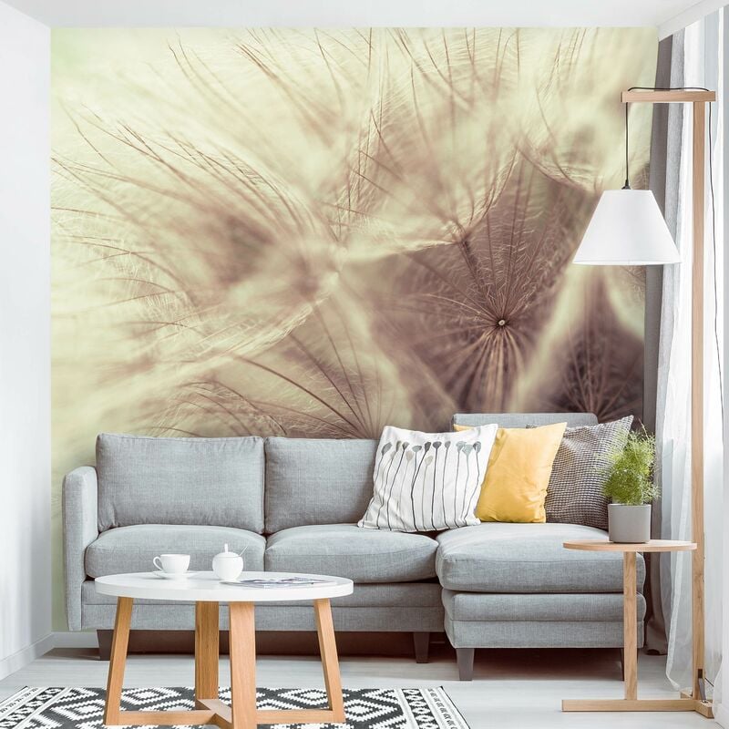 Fotomural - Detailed Dandelion Macro Shot With Vintage Blur Effect - Mural cuadrado Dimensión LxA: 240cm x 240cm
Fotomural - Detailed Dandelion Macro Shot With Vintage Blur Effect - Mural cuadrado Dimensión LxA: 240cm x 240cm