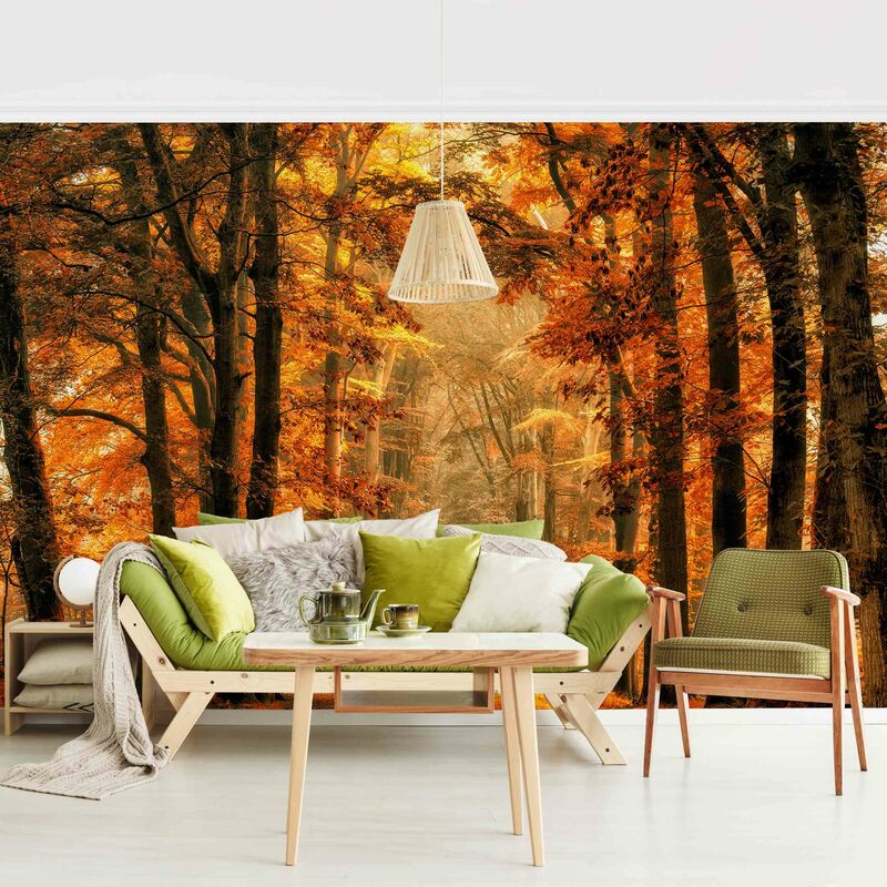 Fotomural - Enchanted Forest In Autumn - Mural apaisado Dimensión LxA: 320cm x 480cm
Fotomural - Enchanted Forest In Autumn - Mural apaisado Dimensión LxA: 320cm x 480cm