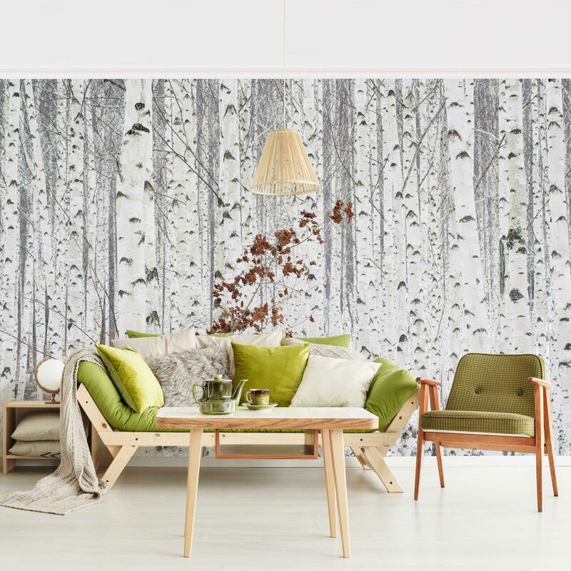 Fotomural Premium - Birch Trees In Autumn - Mural apaisado Dimensión LxA: 225cm x 336cm Material: Premium
Fotomural Premium - Birch Trees In Autumn - Mural apaisado Dimensión LxA: 225cm x 336cm Material: Premium