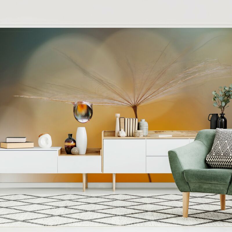 Fotomural Premium - Dandelion In Orange - Mural apaisado Dimensión LxA: 290cm x 432cm Material: Premium
Fotomural Premium - Dandelion In Orange - Mural apaisado Dimensión LxA: 290cm x 432cm Material: Premium