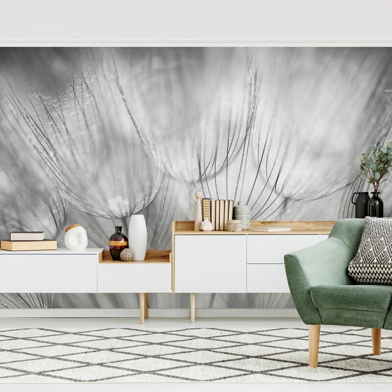 Fotomural Premium - Dandelions Macro Shot In Black And White - Mural apaisado Dimensión LxA: 290cm x 432cm Material: Premium
Fotomural Premium - Dandelions Macro Shot In Black And White - Mural apaisado Dimensión LxA: 290cm x 432cm Material: Premium
