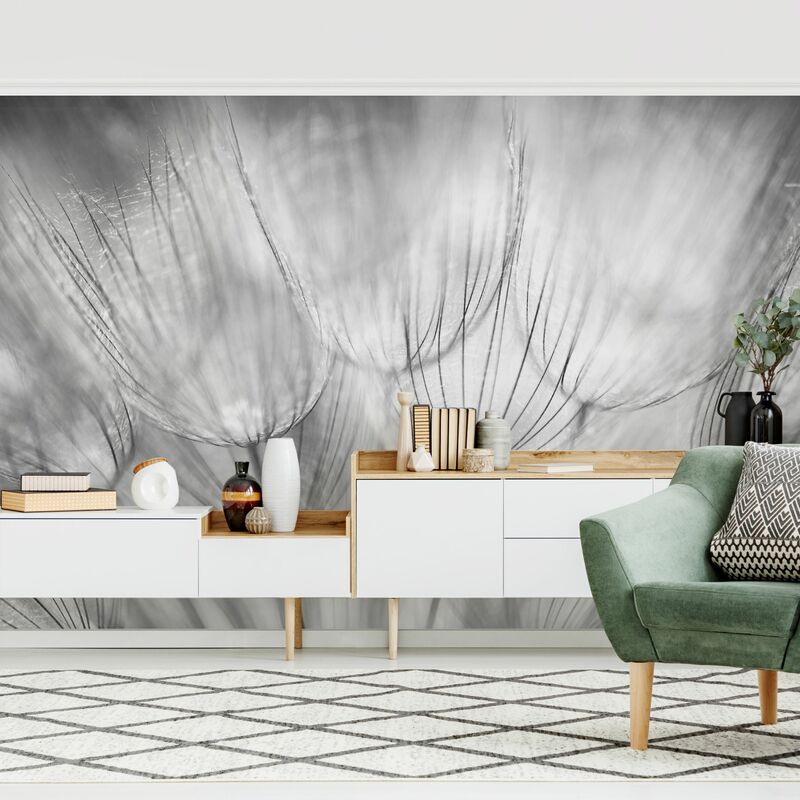 Fotomural Premium - Dandelions Macro Shot In Black And White - Mural apaisado Dimensión LxA: 320cm x 480cm Material: Premium
Fotomural Premium - Dandelions Macro Shot In Black And White - Mural apaisado Dimensión LxA: 320cm x 480cm Material: Premium