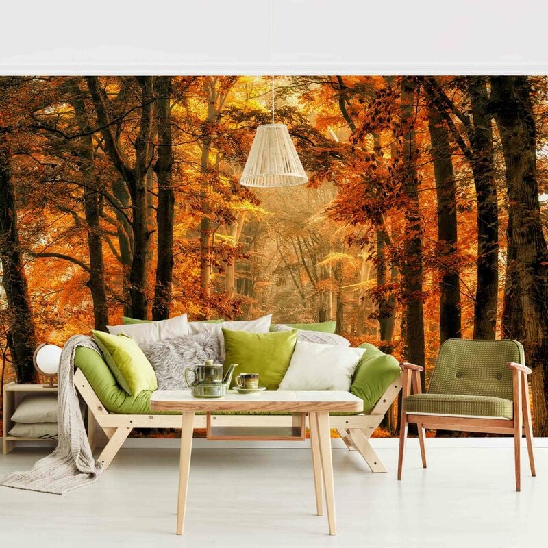 Fotomural Premium - Enchanted Forest In Autumn - Mural apaisado Dimensión LxA: 190cm x 288cm Material: Premium
Fotomural Premium - Enchanted Forest In Autumn - Mural apaisado Dimensión LxA: 190cm x 288cm Material: Premium