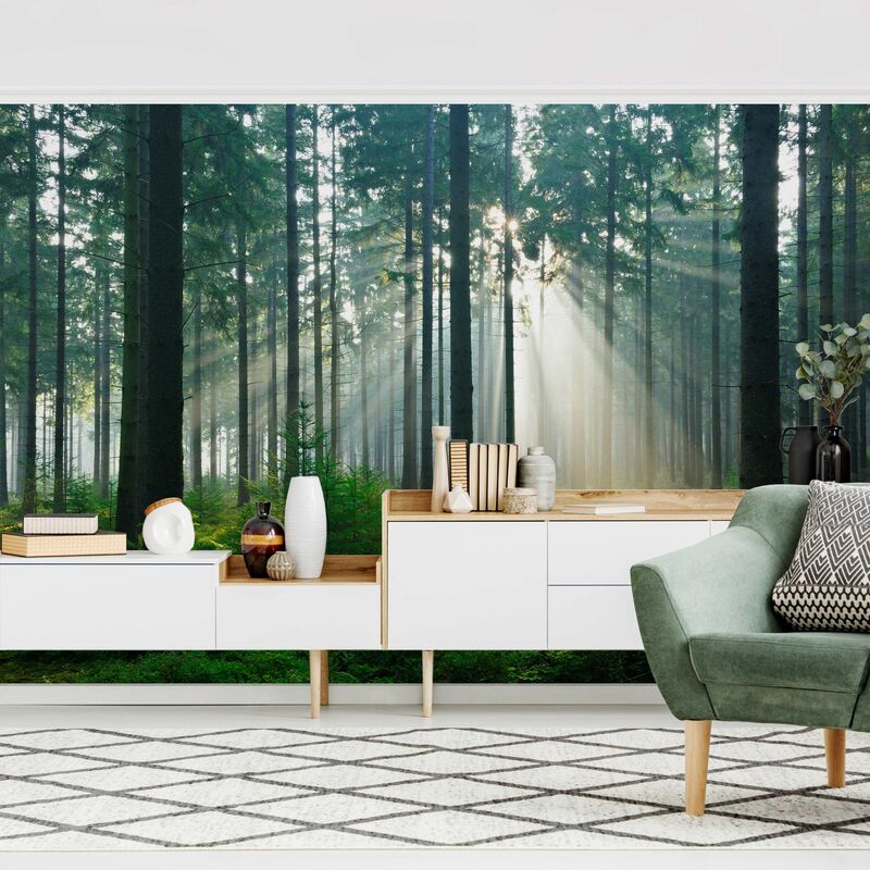 Fotomural Premium - Enlightened Forest - Mural apaisado Dimensión LxA: 255cm x 384cm Material: Premium
Fotomural Premium - Enlightened Forest - Mural apaisado Dimensión LxA: 255cm x 384cm Material: Premium