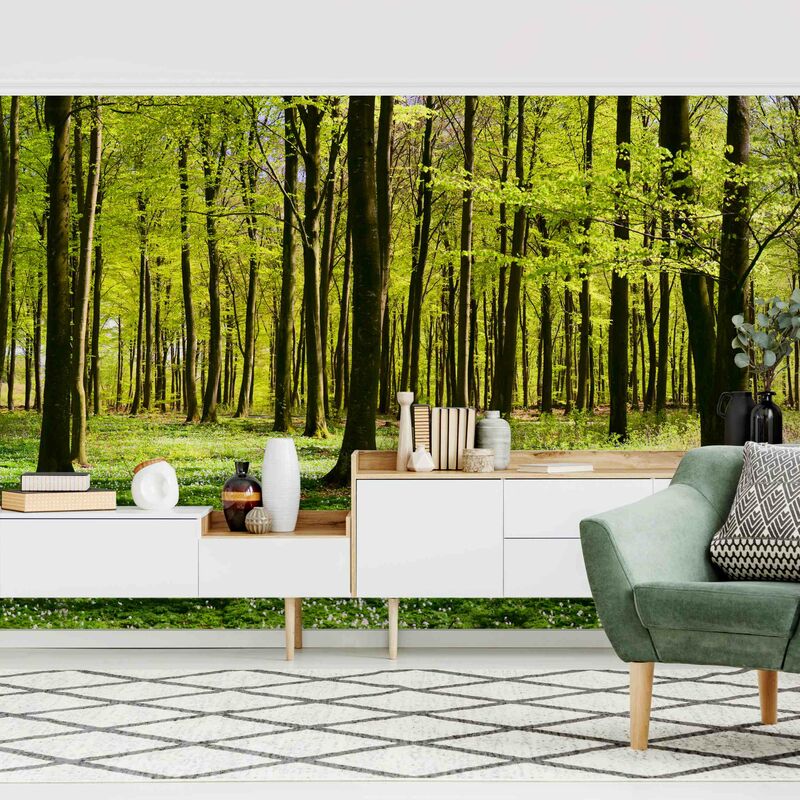Fotomural Premium - Glade - Mural apaisado Dimensión LxA: 190cm x 288cm Material: Premium
Fotomural Premium - Glade - Mural apaisado Dimensión LxA: 190cm x 288cm Material: Premium