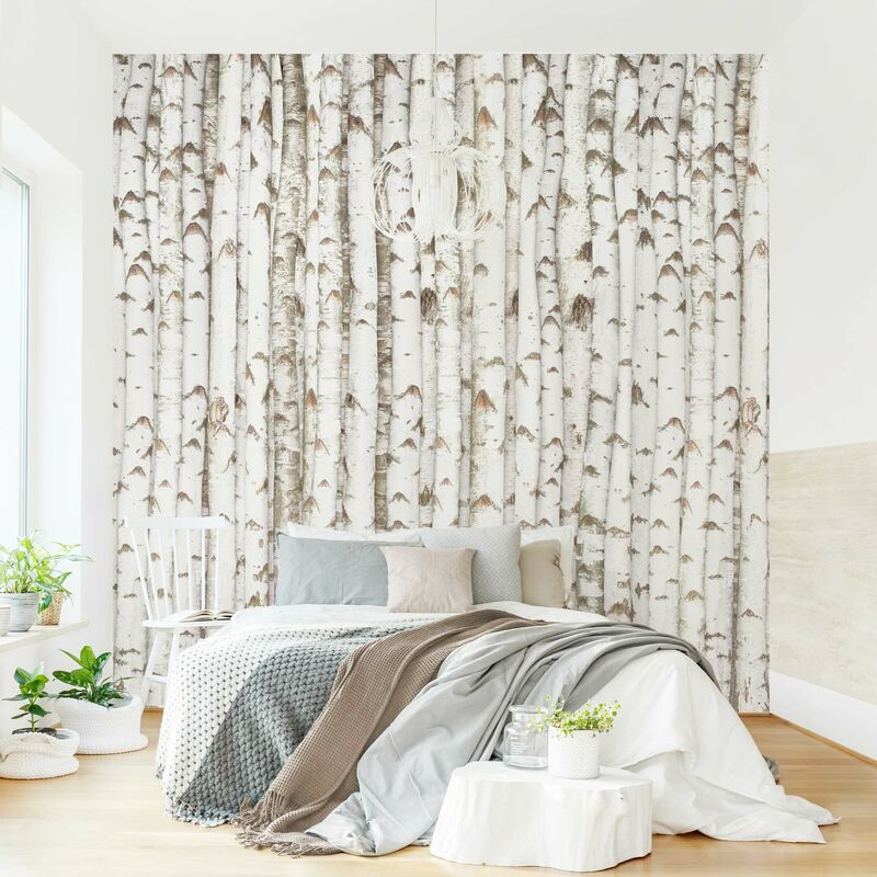 Bilderwelten - Fotomural Premium - No.YK15 Birch Wall - Mural cuadrado Dimensión LxA: 240cm x 240cm Material: Premium
Bilderwelten - Fotomural Premium - No.YK15 Birch Wall - Mural cuadrado Dimensión LxA: 240cm x 240cm Material: Premium
