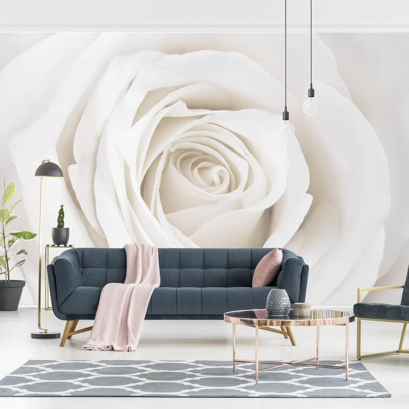 Fotomural Premium - Pretty White Rose - Mural apaisado Dimensión LxA: 190cm x 288cm Material: Premium
Fotomural Premium - Pretty White Rose - Mural apaisado Dimensión LxA: 190cm x 288cm Material: Premium