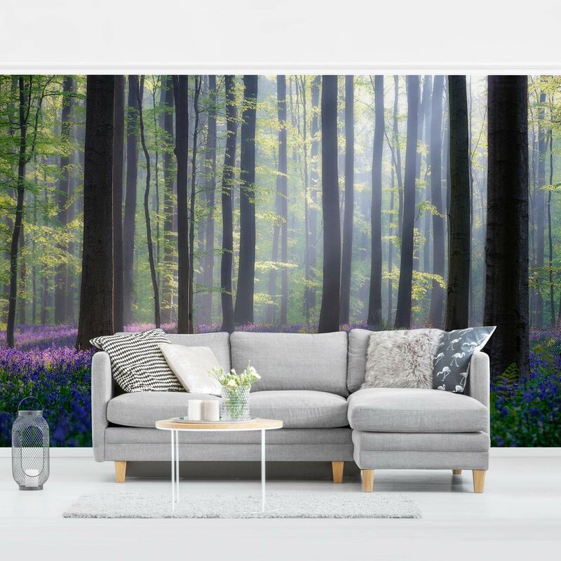 Fotomural Premium - Spring Day In The Forest - Mural apaisado Dimensión LxA: 320cm x 480cm Material: Premium
Fotomural Premium - Spring Day In The Forest - Mural apaisado Dimensión LxA: 320cm x 480cm Material: Premium