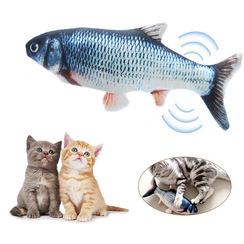 Happyshop - Gato divertido divertido del gato electrico Fish Simulacion (gato de juguete) con la hierba gatera en el interior, carga por USB, carpin
Happyshop - Gato divertido divertido del gato electrico Fish Simulacion (gato de juguete) con la hierba gatera en el interior, carga por USB, carpin