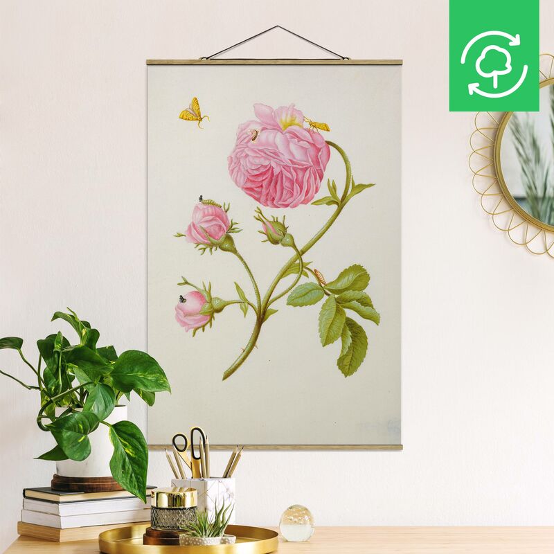 Imagen de tela - Anna Maria Sibylla Merian - Bush Roses With Leaf Miner - Alto 3:2 Dimensión LxA: 52.5cm x 35cm
Imagen de tela - Anna Maria Sibylla Merian - Bush Roses With Leaf Miner - Alto 3:2 Dimensión LxA: 52.5cm x 35cm