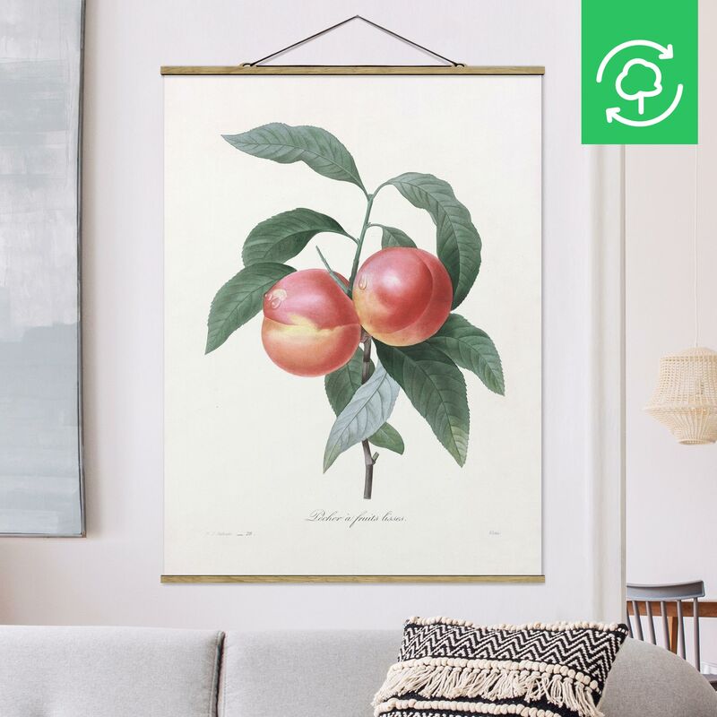 Imagen de tela - Botany Vintage Illustration Peach - Alto 4:3 Dimensión LxA: 66.4cm x 50cm
Imagen de tela - Botany Vintage Illustration Peach - Alto 4:3 Dimensión LxA: 66.4cm x 50cm