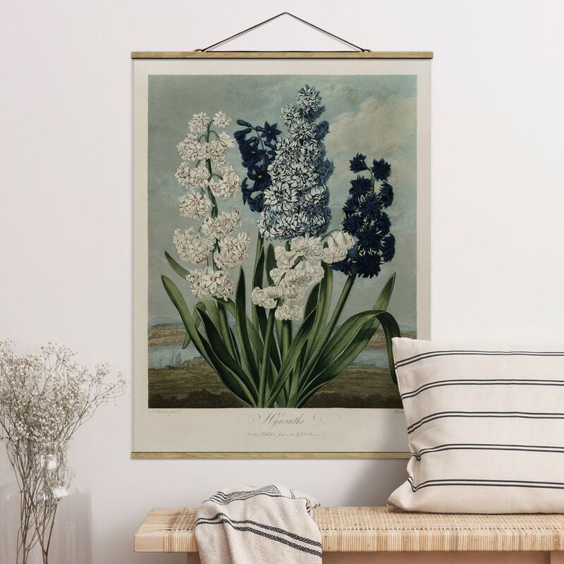 Imagen de tela - Botany Vintage Illustration Blue And White Hyacinths - Alto 4:3 Dimensión LxA: 106.5cm x 80cm
Imagen de tela - Botany Vintage Illustration Blue And White Hyacinths - Alto 4:3 Dimensión LxA: 106.5cm x 80cm