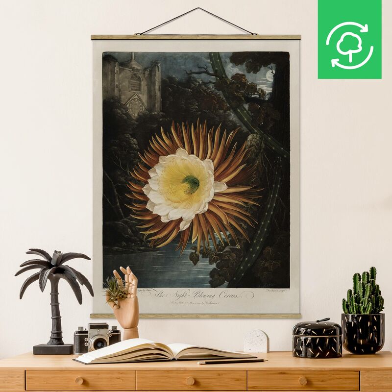 Imagen de tela - Botany Vintage Illustration Cactus Flower - Alto 4:3 Dimensión LxA: 133.5cm x 100cm
Imagen de tela - Botany Vintage Illustration Cactus Flower - Alto 4:3 Dimensión LxA: 133.5cm x 100cm