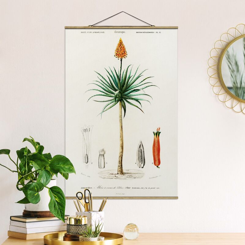 Imagen de tela - Botany Vintage Illustration Aloe Orange Blossom - Alto 3:2 Dimensión LxA: 75cm x 50cm
Imagen de tela - Botany Vintage Illustration Aloe Orange Blossom - Alto 3:2 Dimensión LxA: 75cm x 50cm