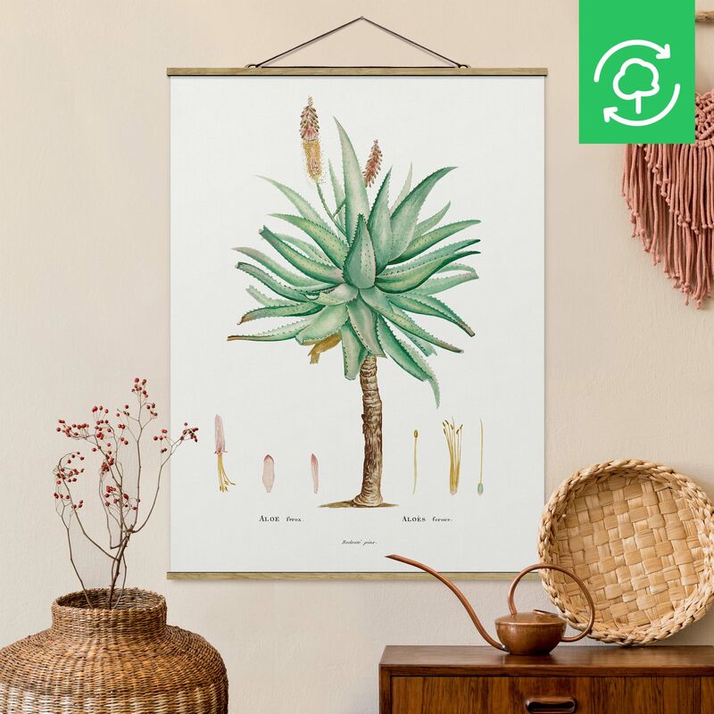 Imagen de tela - Botany Vintage Illustration Aloe - Alto 4:3 Dimensión LxA: 133.5cm x 100cm
Imagen de tela - Botany Vintage Illustration Aloe - Alto 4:3 Dimensión LxA: 133.5cm x 100cm
