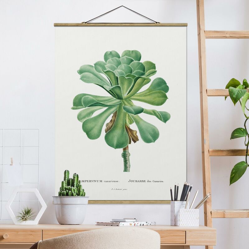 Imagen de tela - Botany Vintage Illustration Green Succulent I - Alto 4:3 Dimensión LxA: 106.5cm x 80cm
Imagen de tela - Botany Vintage Illustration Green Succulent I - Alto 4:3 Dimensión LxA: 106.5cm x 80cm