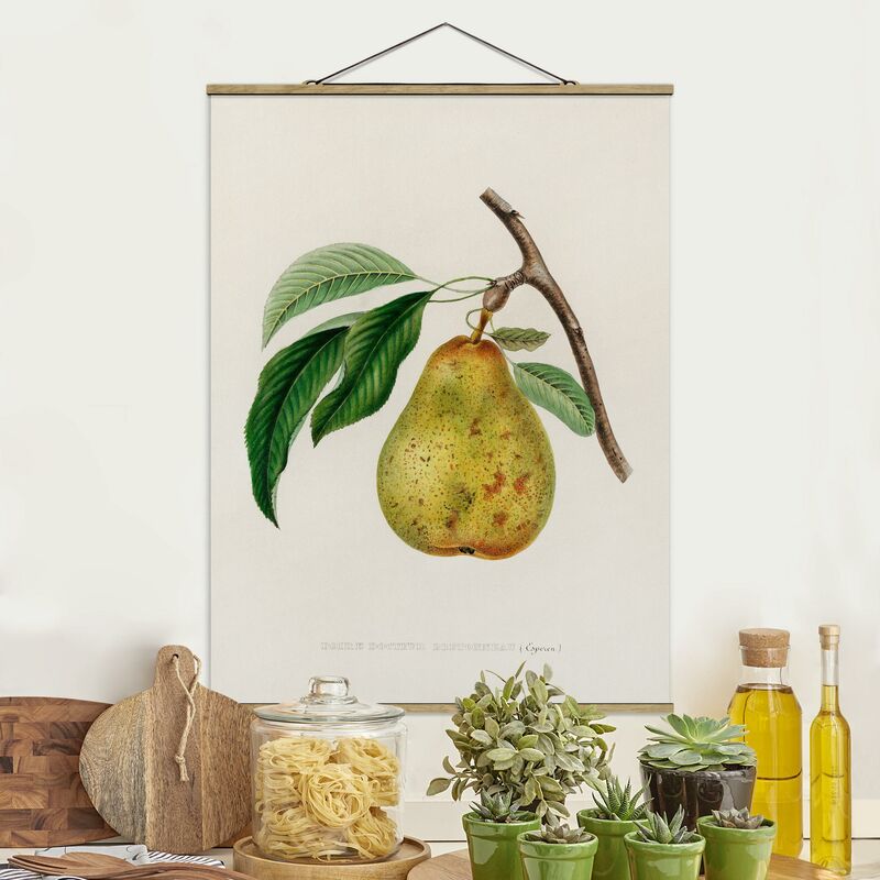 Imagen de tela - Botany Vintage Illustration Yellow Pear - Alto 4:3 Dimensión LxA: 133.5cm x 100cm
Imagen de tela - Botany Vintage Illustration Yellow Pear - Alto 4:3 Dimensión LxA: 133.5cm x 100cm