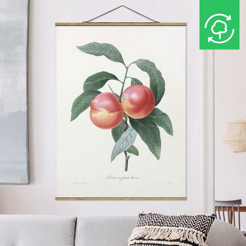 Imagen de tela - Botany Vintage Illustration Peach - Alto 4:3 Dimensión LxA: 46.5cm x 35cm
Imagen de tela - Botany Vintage Illustration Peach - Alto 4:3 Dimensión LxA: 46.5cm x 35cm