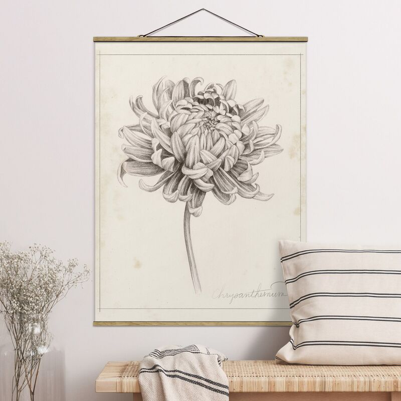 Imagen de tela - Botanical Study Chrysanthemum I - Alto 4:3 Dimensión LxA: 133.5cm x 100cm
Imagen de tela - Botanical Study Chrysanthemum I - Alto 4:3 Dimensión LxA: 133.5cm x 100cm