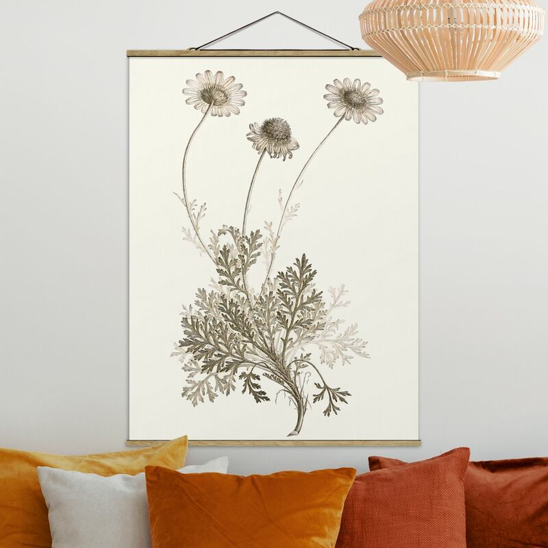 Imagen de tela - Botanical Study In Sepia III - Alto 4:3 Dimensión LxA: 133.5cm x 100cm
Imagen de tela - Botanical Study In Sepia III - Alto 4:3 Dimensión LxA: 133.5cm x 100cm