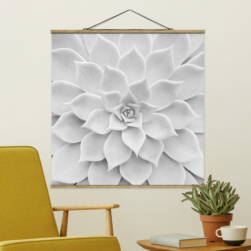 Imagen de tela - Cactus Succulent - Cuadrado 1:1 Dimensión LxA: 100cm x 100cm
Imagen de tela - Cactus Succulent - Cuadrado 1:1 Dimensión LxA: 100cm x 100cm