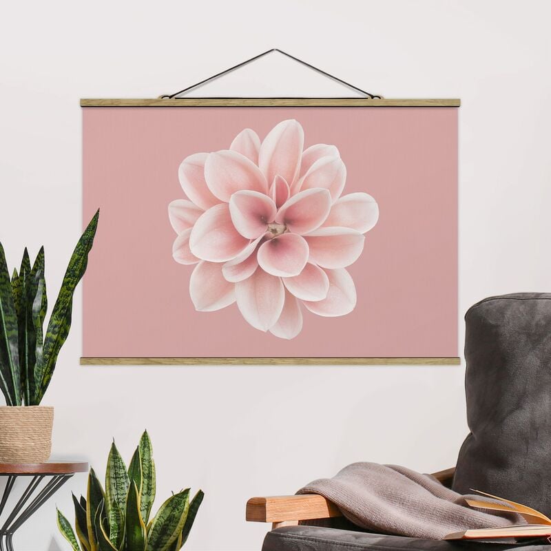 Imagen de tela - Dahlia Pink Blush Flower Centered - Apaisado 2:3 Dimensión LxA: 23.5cm x 35cm
Imagen de tela - Dahlia Pink Blush Flower Centered - Apaisado 2:3 Dimensión LxA: 23.5cm x 35cm