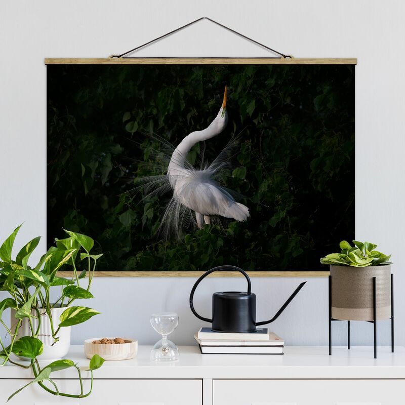 Imagen de tela - Dancing Egrets In Front Of Black - Apaisado 2:3 Dimensión LxA: 23.5cm x 35cm
Imagen de tela - Dancing Egrets In Front Of Black - Apaisado 2:3 Dimensión LxA: 23.5cm x 35cm