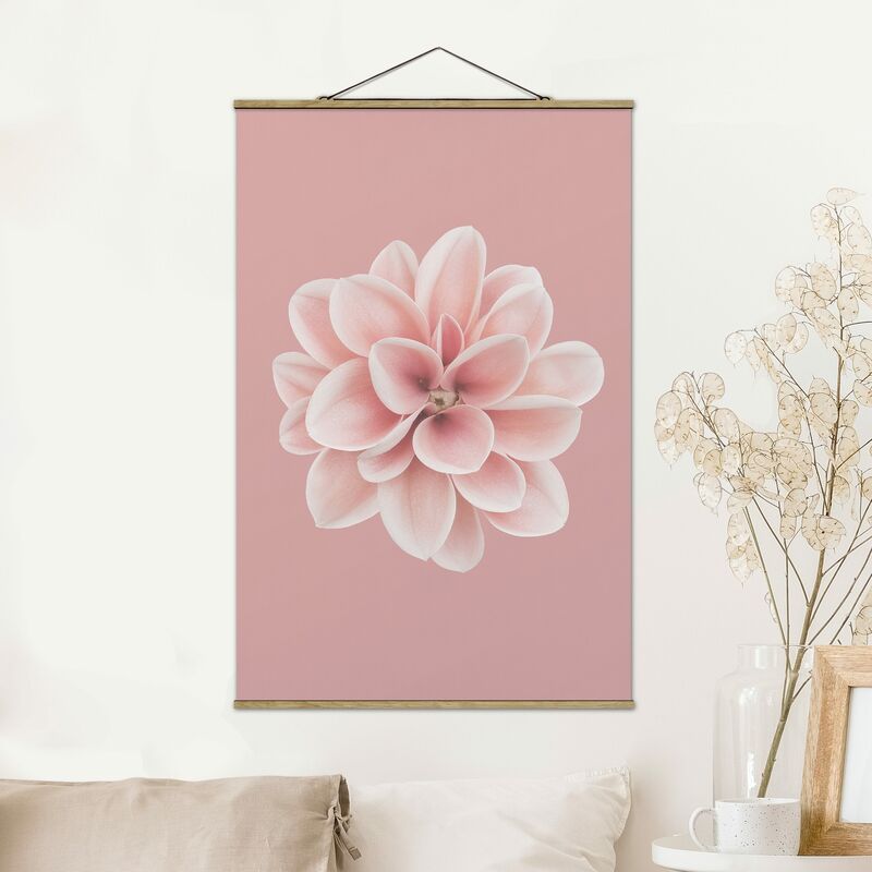 Imagen de tela - Dahlia Pink Blush Flower Centered - Alto 3:2 Dimensión LxA: 52.5cm x 35cm
Imagen de tela - Dahlia Pink Blush Flower Centered - Alto 3:2 Dimensión LxA: 52.5cm x 35cm