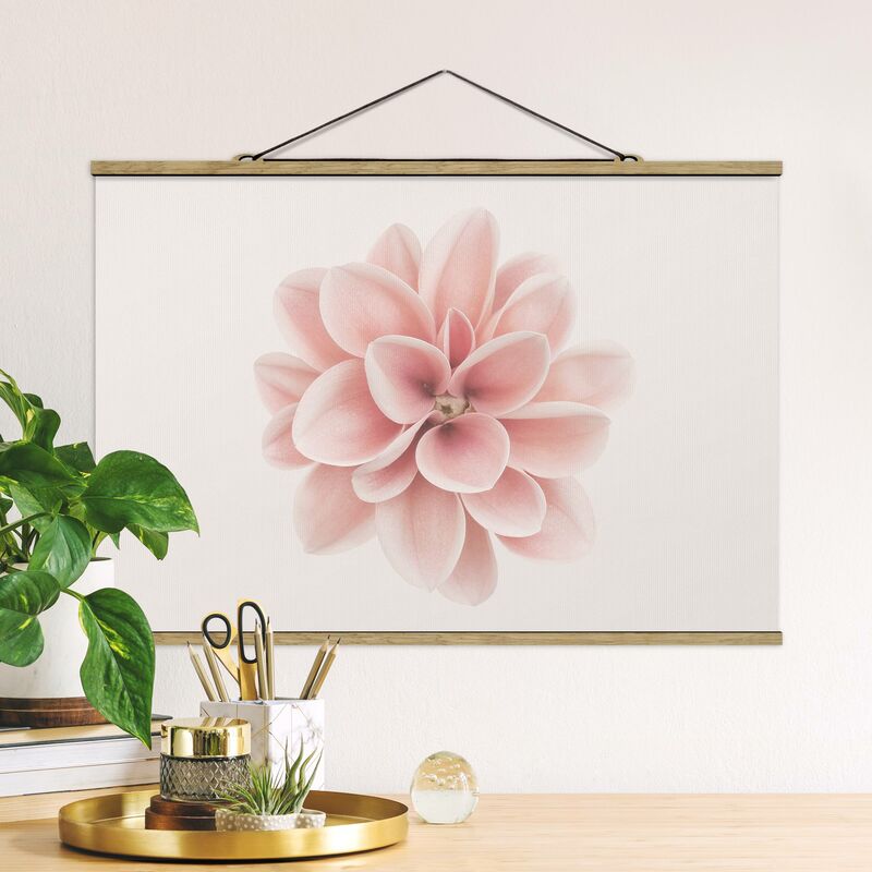 Imagen de tela - Dahlia Pink Pastel Flower Centered - Apaisado 2:3 Dimensión LxA: 66.5cm x 100cm
Imagen de tela - Dahlia Pink Pastel Flower Centered - Apaisado 2:3 Dimensión LxA: 66.5cm x 100cm