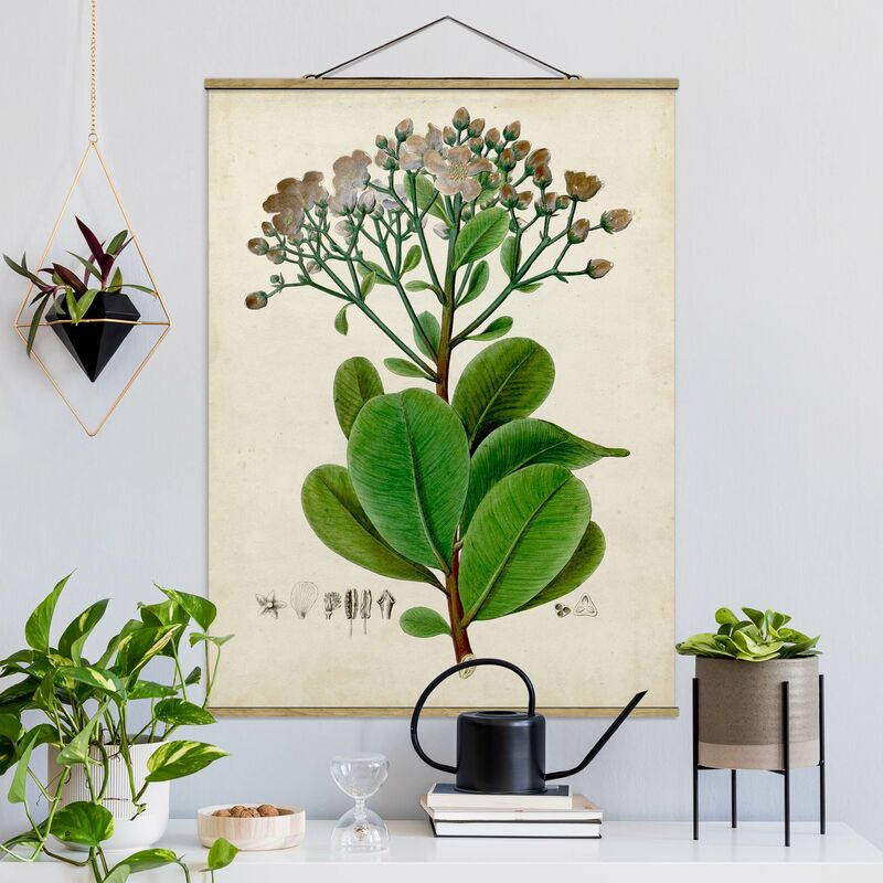 Imagen de tela - Deciduous Poster VIII - Alto 4:3 Dimensión LxA: 106.5cm x 80cm
Imagen de tela - Deciduous Poster VIII - Alto 4:3 Dimensión LxA: 106.5cm x 80cm