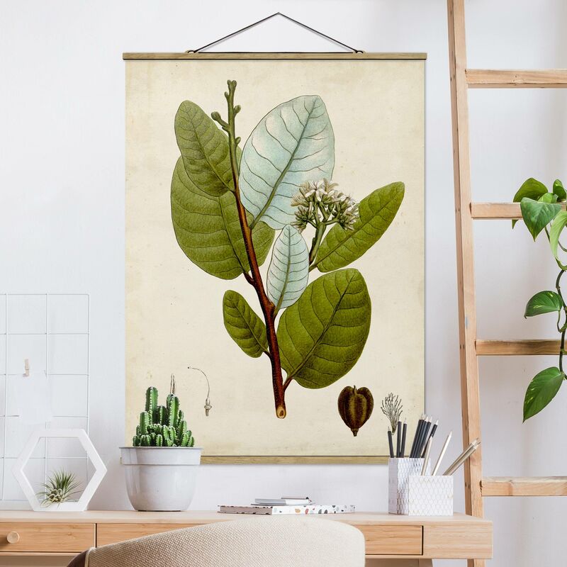 Bilderwelten - Imagen de tela - Deciduous Tree Poster I - Alto 4:3 Dimensión LxA: 46.5cm x 35cm
Bilderwelten - Imagen de tela - Deciduous Tree Poster I - Alto 4:3 Dimensión LxA: 46.5cm x 35cm