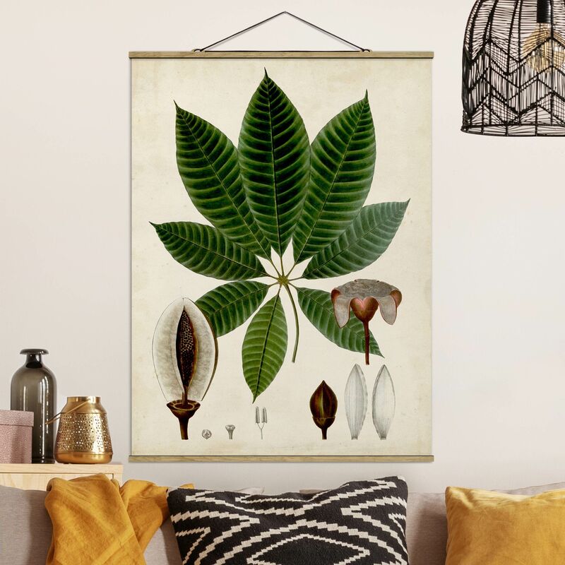 Imagen de tela - Deciduous Poster VII - Alto 4:3 Dimensión LxA: 133.5cm x 100cm
Imagen de tela - Deciduous Poster VII - Alto 4:3 Dimensión LxA: 133.5cm x 100cm