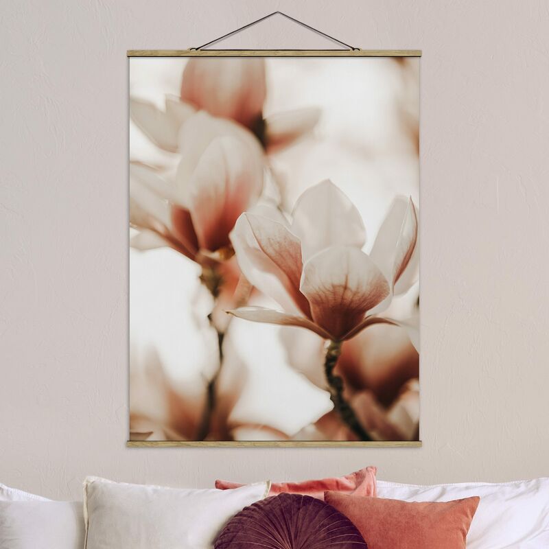 Imagen de tela - Delicate Magnolia Flowers In An Interplay Of Light And Shadows - Alto 4:3 Dimensión LxA: 66.4cm x 50cm
Imagen de tela - Delicate Magnolia Flowers In An Interplay Of Light And Shadows - Alto 4:3 Dimensión LxA: 66.4cm x 50cm