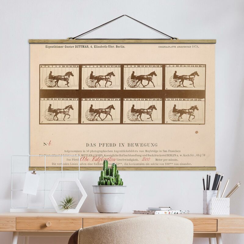 Imagen de tela - Eadweard Muybridge - The Horse In Motion - Apaisado 2:3 Dimensión LxA: 53.5cm x 80cm
Imagen de tela - Eadweard Muybridge - The Horse In Motion - Apaisado 2:3 Dimensión LxA: 53.5cm x 80cm