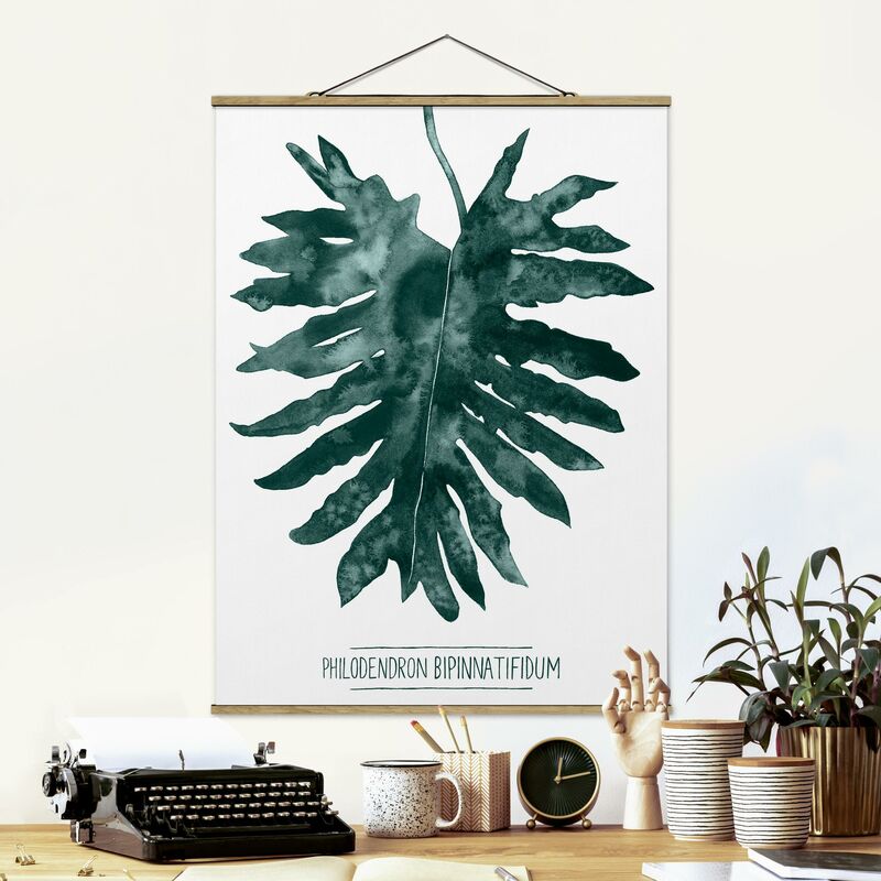 Imagen de tela - Emerald Philodendron Bipinnatifidum - Alto 4:3 Dimensión LxA: 133.5cm x 100cm
Imagen de tela - Emerald Philodendron Bipinnatifidum - Alto 4:3 Dimensión LxA: 133.5cm x 100cm