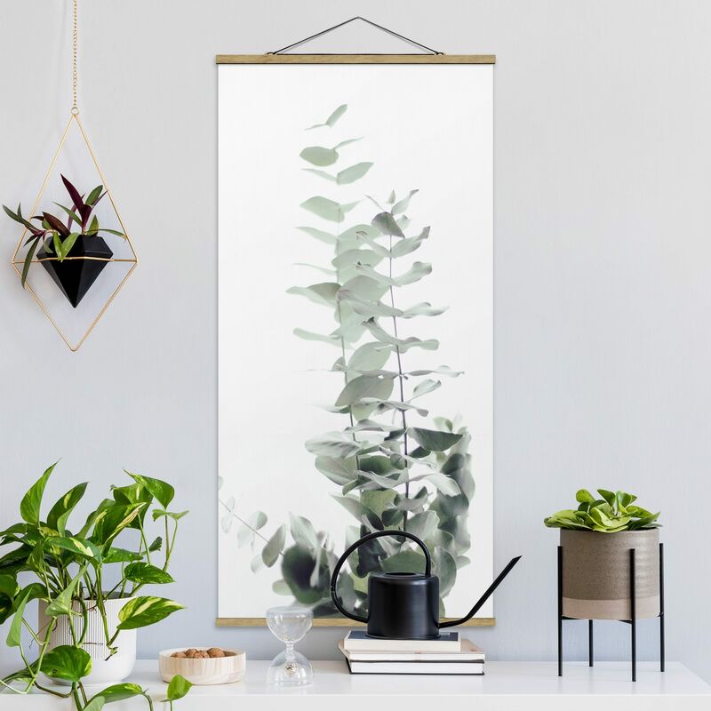 Bilderwelten - Imagen de tela - Eucalyptus In White Light - Alto 2:1 Dimensión LxA: 70cm x 35cm
Bilderwelten - Imagen de tela - Eucalyptus In White Light - Alto 2:1 Dimensión LxA: 70cm x 35cm