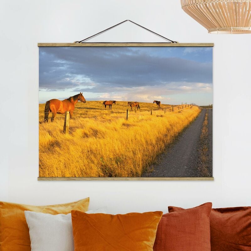 Imagen de tela - Field Road And Horse In Evening Sun - Apaisado 3:4 Dimensión LxA: 75cm x 100cm
Imagen de tela - Field Road And Horse In Evening Sun - Apaisado 3:4 Dimensión LxA: 75cm x 100cm
