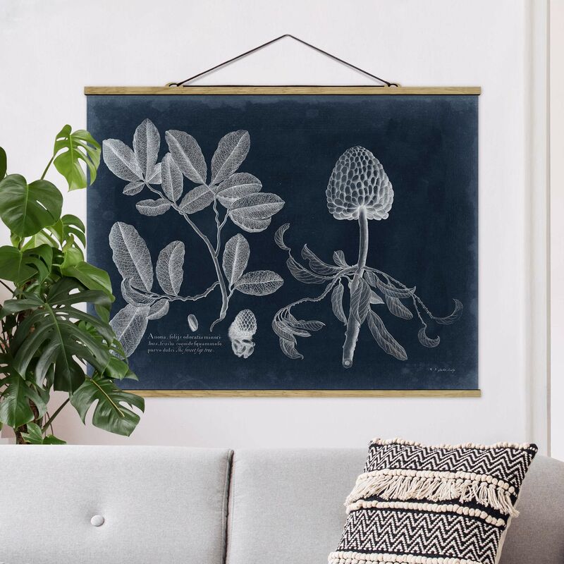 Bilderwelten - Imagen de tela - Foliage Dark Blue - Zimtapfel - Apaisado 3:4 Dimensión LxA: 26cm x 35cm
Bilderwelten - Imagen de tela - Foliage Dark Blue - Zimtapfel - Apaisado 3:4 Dimensión LxA: 26cm x 35cm